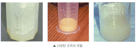 다양한 초유의 색깔