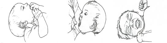 아기가 배고픈지 어떻게 알 수 있는가